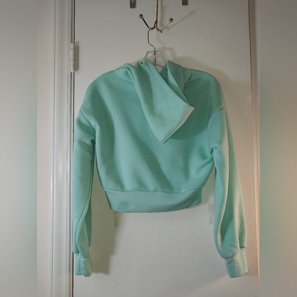 Seafoam Green "Psycho" Cropped Hoodie. Size S. NWT!!! - Picture 4 of 5